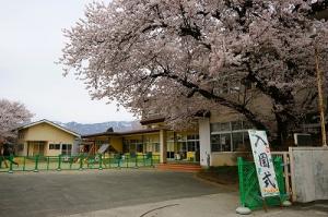 ようこそ小桜幼稚園へ！