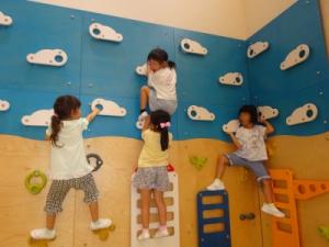 壁登りも人気です！