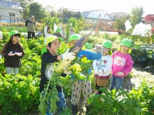 大根抜けたー！