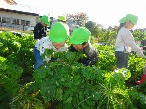 力いっぱい引っ張るよ