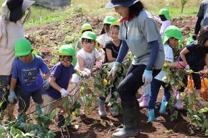 つなひきみたいだね